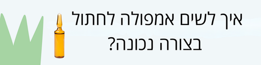 איך לשים אמפולה לחתול? המדריך המלא למתחילים!