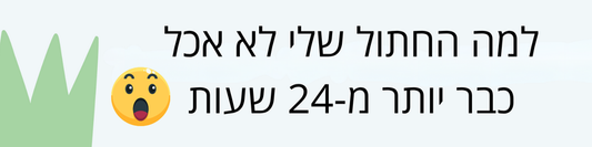 החתול שלי לא אכל כבר יותר מ-24 שעות.. וזו הסיבה!