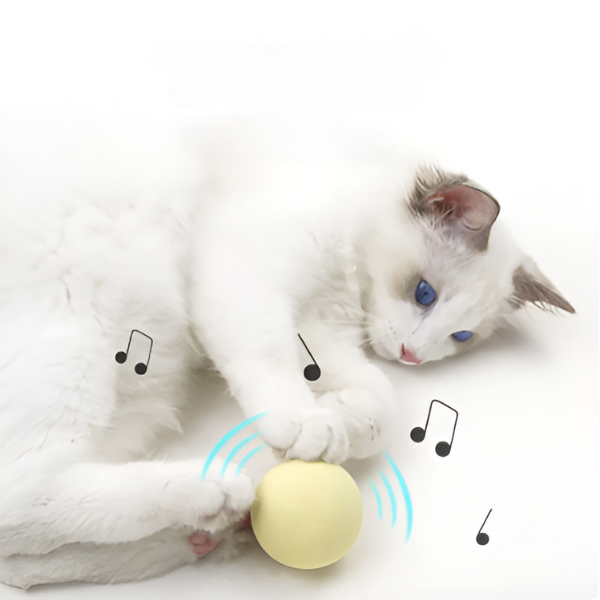 כדור משחק לחתול - צפרדע - קטופיה ישראל | מזון וציוד לחתולים Catopia