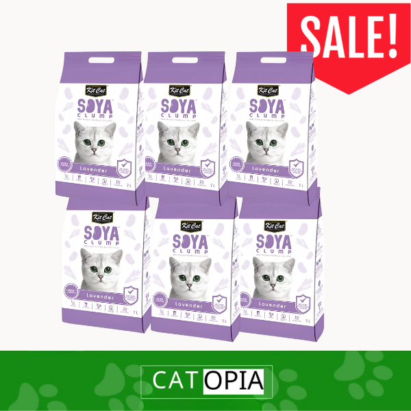 6 יחידות חול סויה בריח לוונדר KIT-CAT - קטופיה ישראל | מזון וציוד לחתולים Catopia