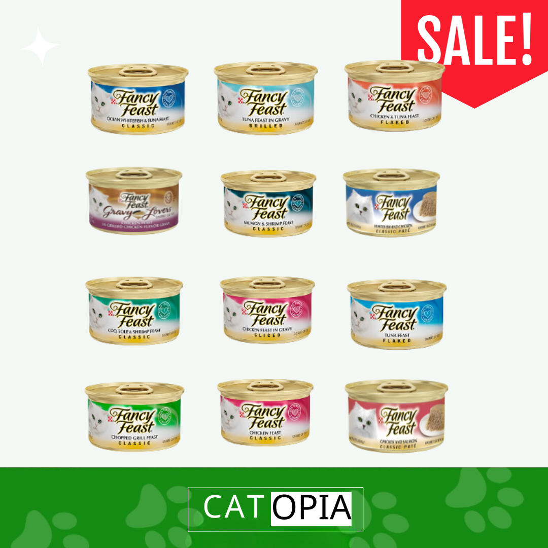 12 יח' פנסי פיסט מעדנים לחתול - קטופיה ישראל | מזון וציוד לחתולים Catopia