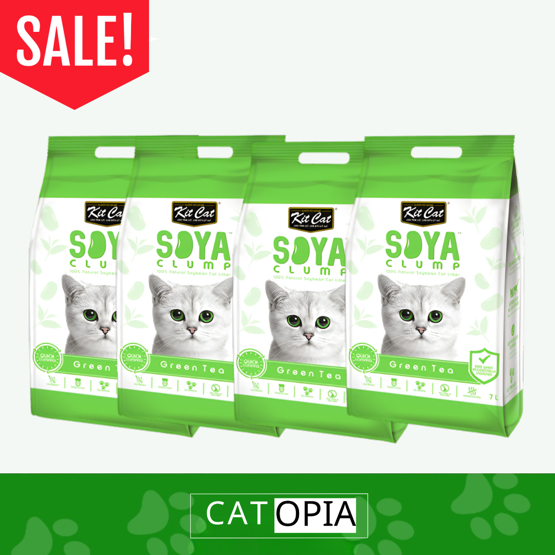 4 יחידות חול סויה בריח תה ירוק KIT-CAT 7 ליטר - קטופיה ישראל | מזון וציוד לחתולים Catopia