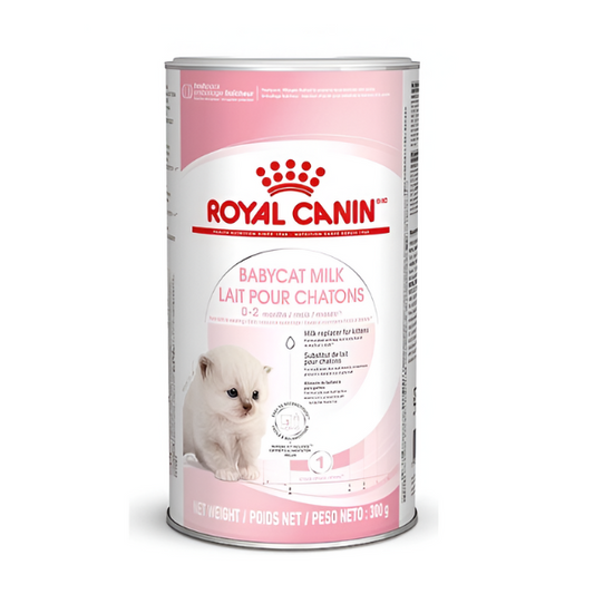 אבקת חלב לגורי חתולים ROYAL KANIN רויאל קנין