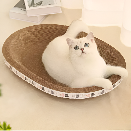 משטח גירוד לחתול