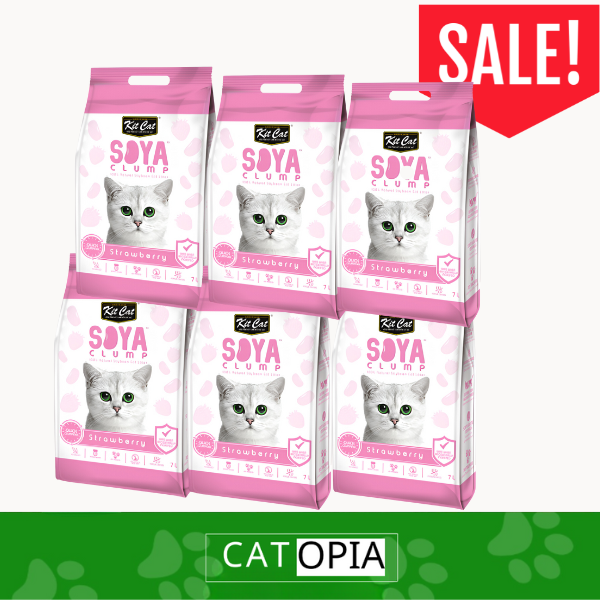 6 יחידות חול סויה בריח תות KIT-CAT - קטופיה ישראל | מזון וציוד לחתולים Catopia