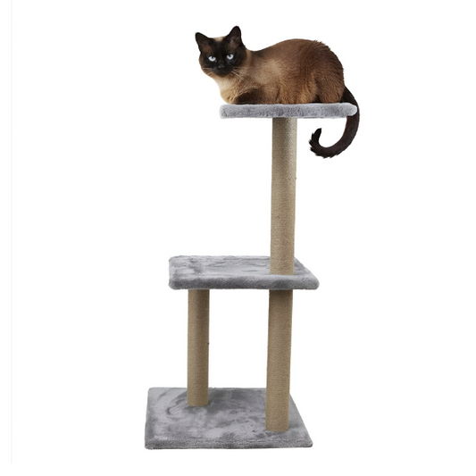 מתקן גירוד 2 קומות לחתול