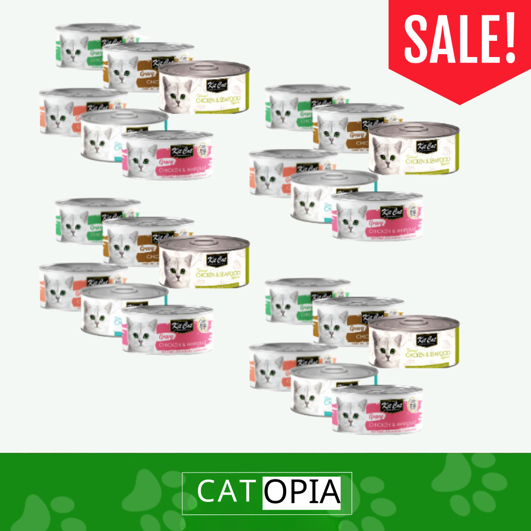 מיקס מעדני KITCAT לחתול 24 יח' - קטופיה ישראל | מזון וציוד לחתולים Catopia