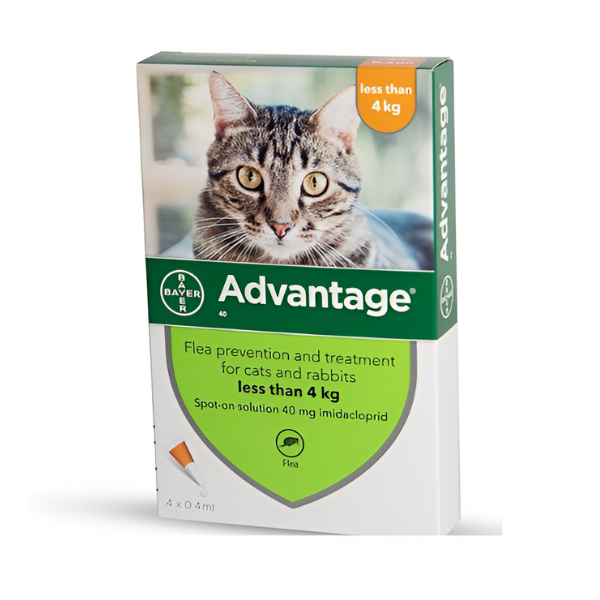 אדוונטג' Adventage אמפולה לחתול מתחת ל-4 - קטופיה ישראל | מזון וציוד לחתולים Catopia