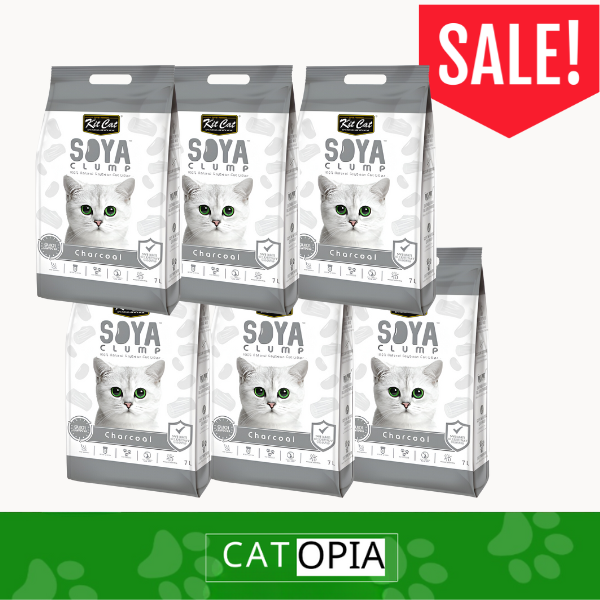 6 יחידות חול סויה אפקט פחם KIT-CAT - קטופיה ישראל | מזון וציוד לחתולים Catopia