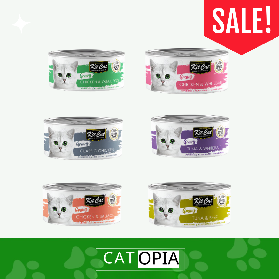 6 מעדני KITCAT שימורים לחתול - קטופיה ישראל | מזון וציוד לחתולים Catopia