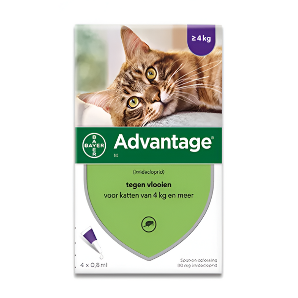 אמפולת אדוונטג' Advantage מעל 4 - קטופיה ישראל | מזון וציוד לחתולים Catopia