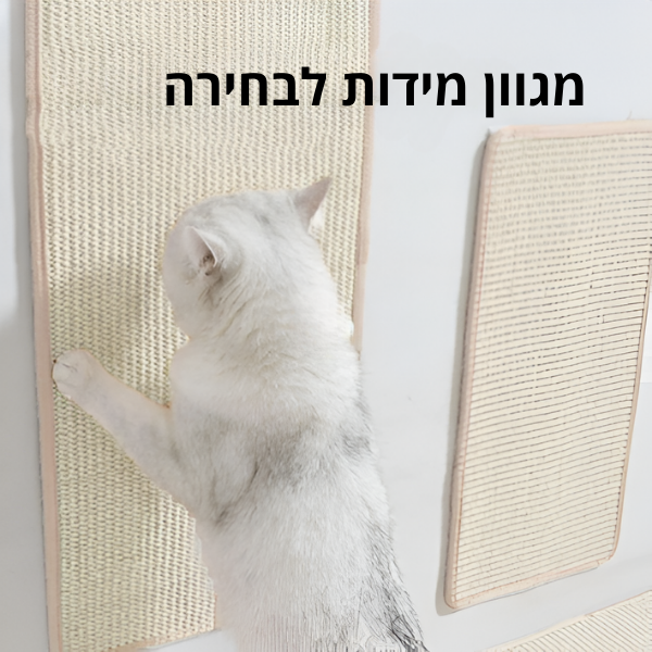 מגן ספה חתול סיסל - קטופיה ישראל | מזון וציוד לחתולים Catopia