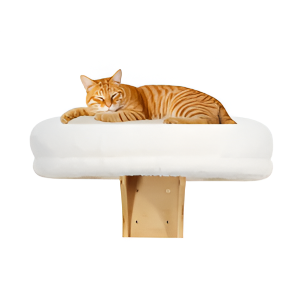 מרפסת מרופדת לבנה לחתולים