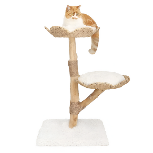 מתקן גירוד עם 2 פינות ישיבה לחתול