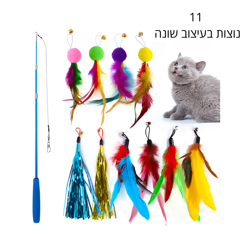 חכת משחק לחתול 11 חלקים