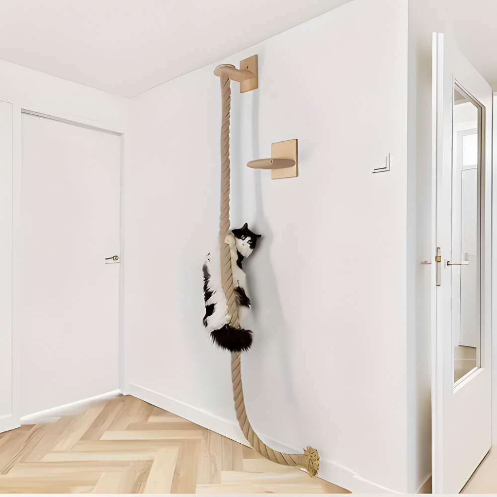 חבל טיפוס לחתולים