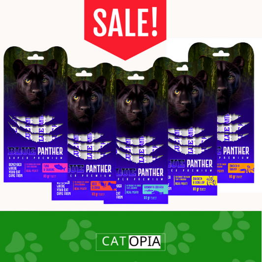 מבצע 5 שלוקים לחתול בלו פנתר ב-50 ש"ח