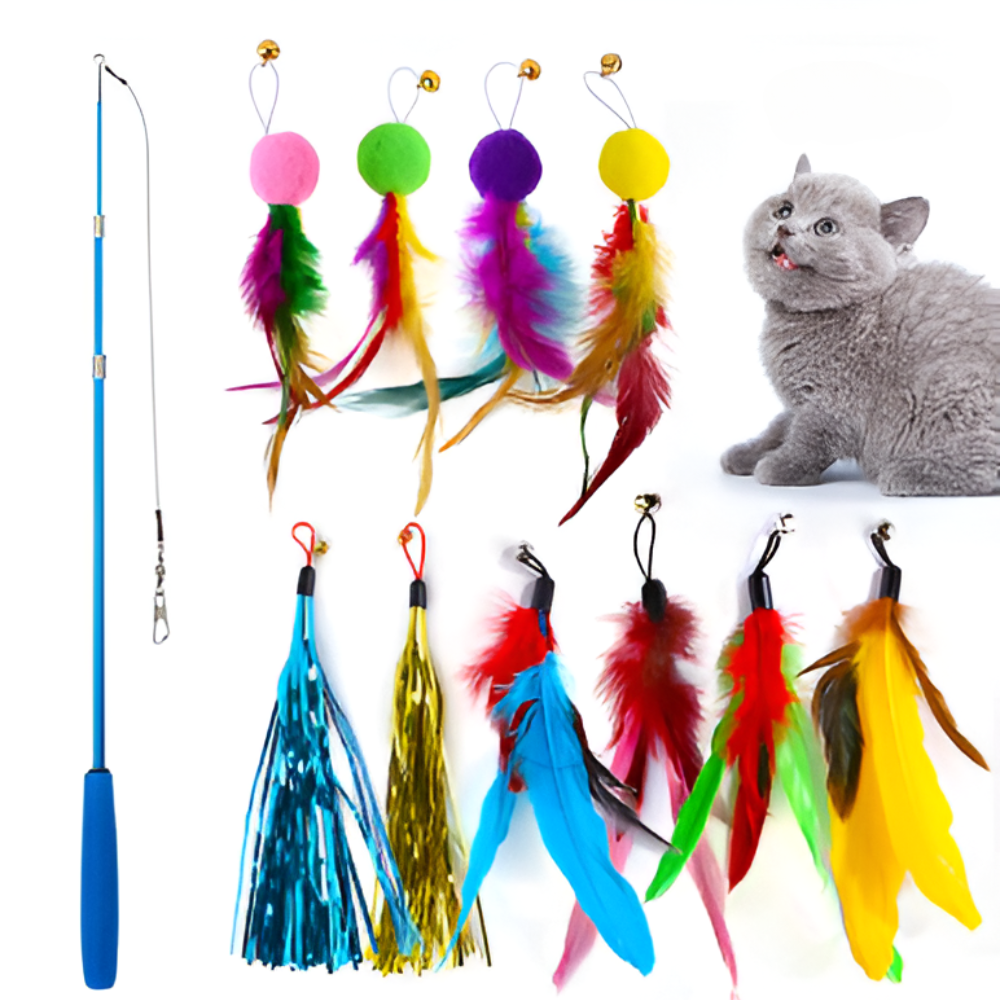 חכת משחק 11 חלקים לחתול - קטופיה ישראל | מזון וציוד לחתולים Catopia