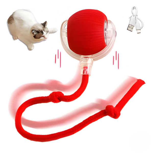 צעצוע רדיפה לחתול - קטופיה ישראל | מזון וציוד לחתולים Catopia