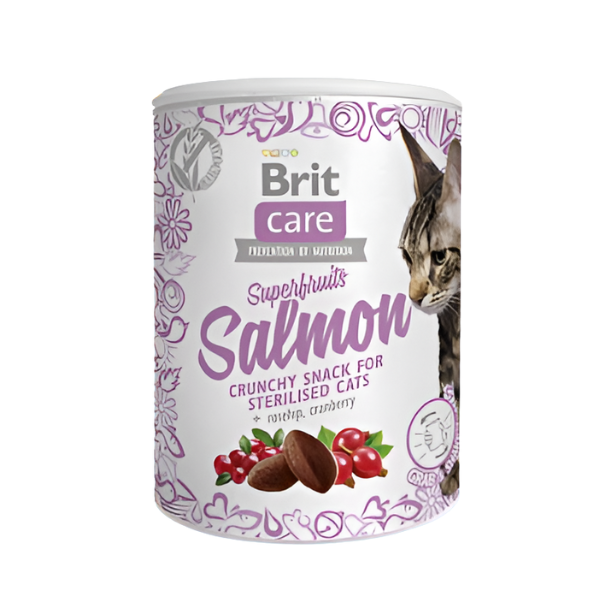 חטיף לחתול BRIT CARE בטעם סלמון 100 גר'