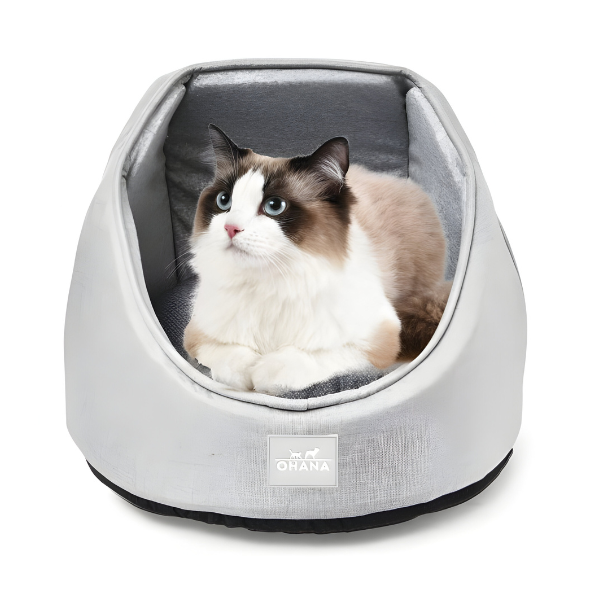 מיטה פתוחה לחתול - קטופיה ישראל | מזון וציוד לחתולים Catopia