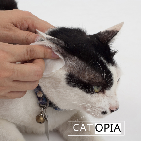 טיפות לניקוי אוזניים לחתול Nutri-Vet 118 מ"ל - קטופיה ישראל | מזון וציוד לחתולים Catopia