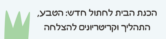 מתכננים לצרף חתול למשפחה?