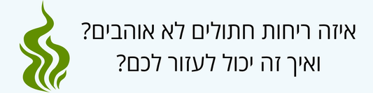 ריחות שהחתולים לא אוהבים – מדריך לבעלי חתולים
