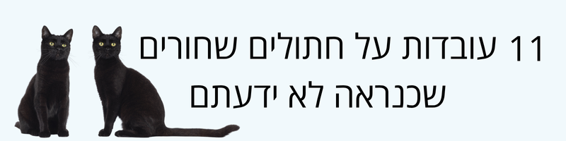 עובדות מעניינות על בני הבית בעלי הפרווה השחורה!