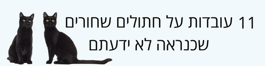 עובדות מעניינות על בני הבית בעלי הפרווה השחורה!