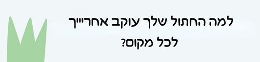 למה החתול עוקב אחרינו