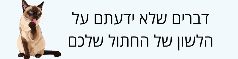 דברים שלא ידעתם על הלשון של החתול שלכם!
