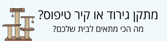 מתקן גירוד לחתול או קיר טיפוס?