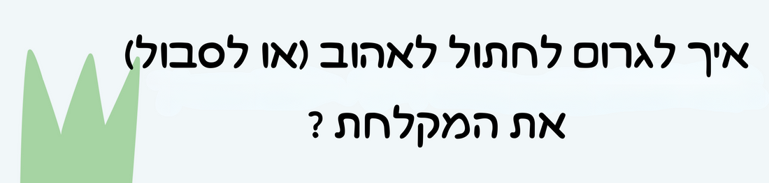 מקלחים את החתול? כדאי שתקראו את זה!