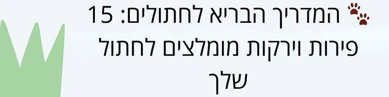 15 פירות וירקות מומלצים לחתול שלך