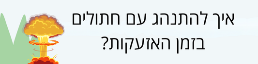 חתול באזעקה - מה עושים בזמן מתקפה 😿