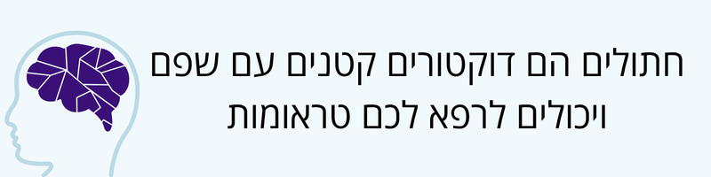 🐱 חתולים יכולים לרפא לכם את הטראומות!