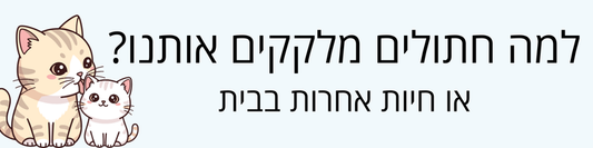 למה חתולים מלקקים: אותנו, חתולים אחרים וחיות נוספות?