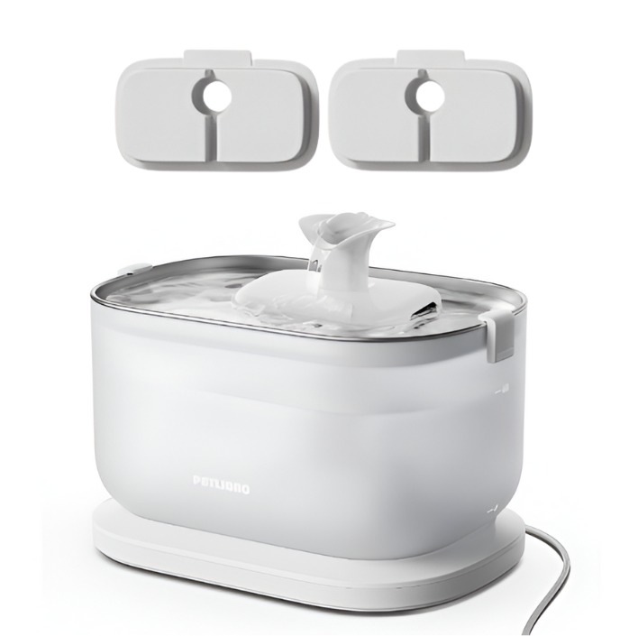 מזרקת מים עם חיבור לאפליקציה