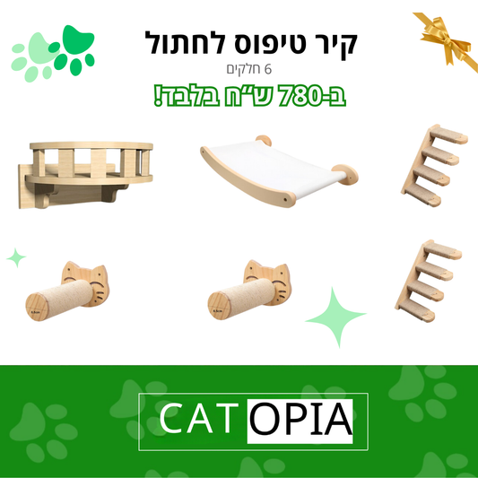 קיר טיפוס במבצע!! 6 חלקים ב-780 ש"ח