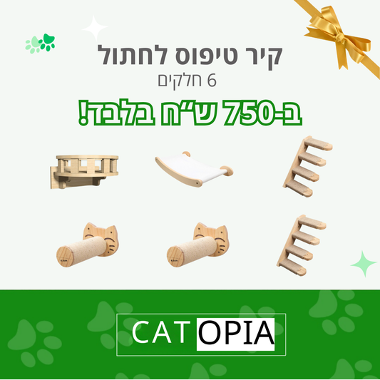 קיר טיפוס במבצע!! 6 חלקים ב-750 ש"ח