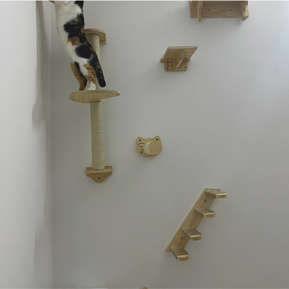 מדרגות טיפוס לחתול