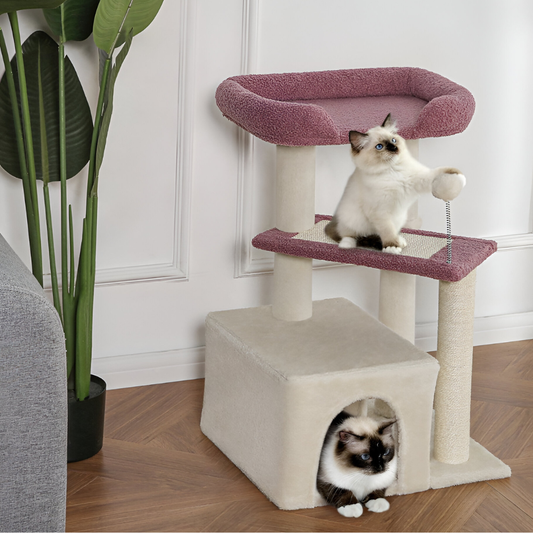 מתקן גירוד לחתול בית+ערסל