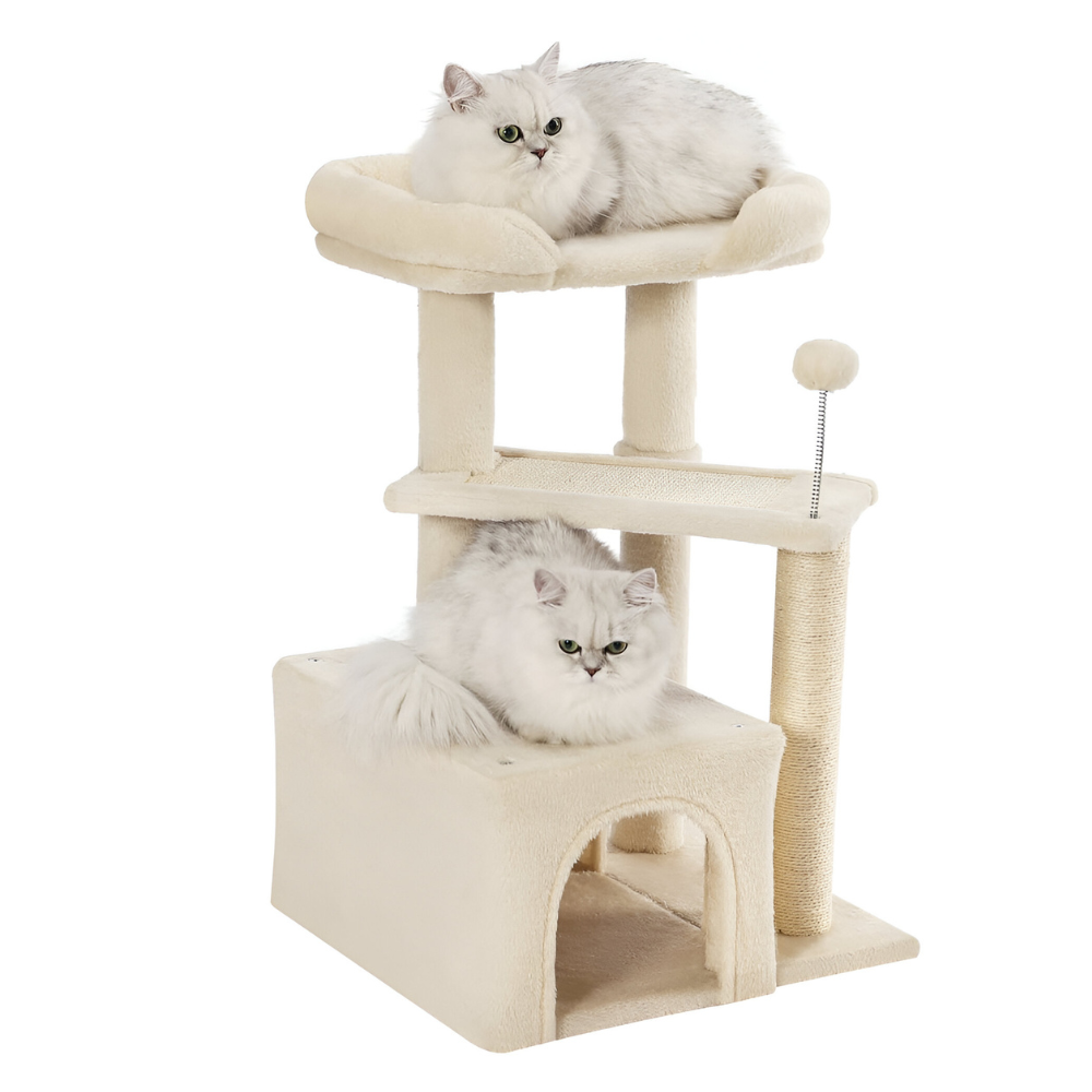 מתקן גירוד לחתול 2 מצבים