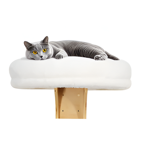 מרפסת מרופדת לבנה לחתולים