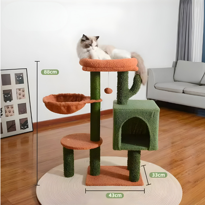 חתול על מתקן גירוד בצבע קטטוס