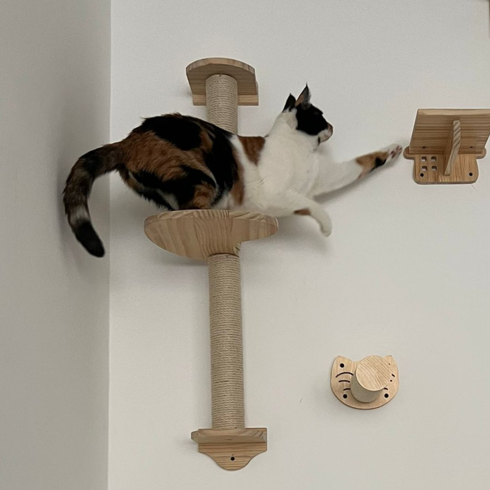 עמוד גירוד 2 קומות לחתול