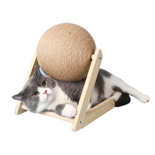 כדור גירוד עומד לחתול