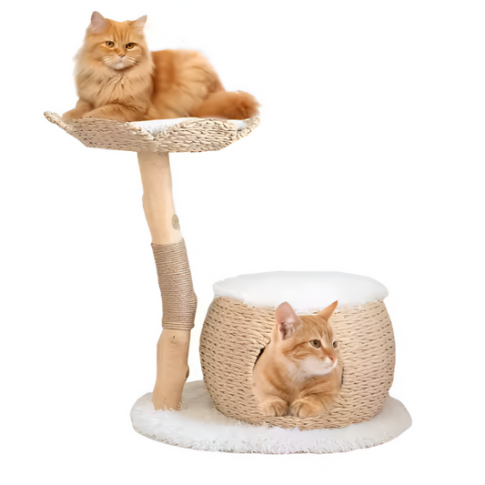 מתקן גירוד עץ מלא לחתול